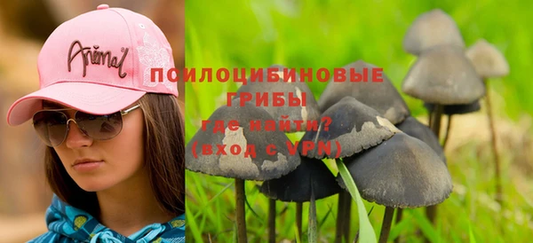 дживик Белокуриха