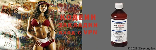 дживик Белокуриха