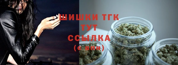 дживик Белокуриха