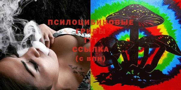 ГАЛЛЮЦИНОГЕННЫЕ ГРИБЫ Беломорск