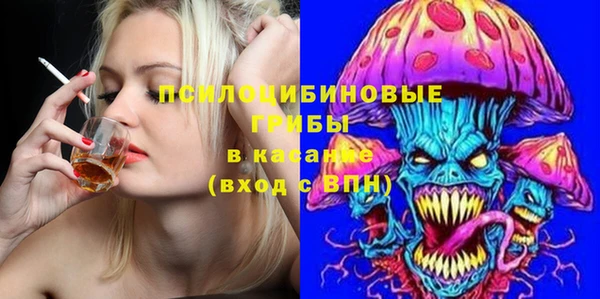 дживик Белокуриха