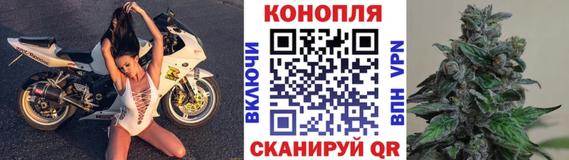 Бошки марихуана индика  купить  сайты  Павловск 